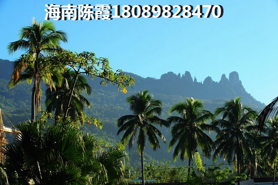 海南世茂天城