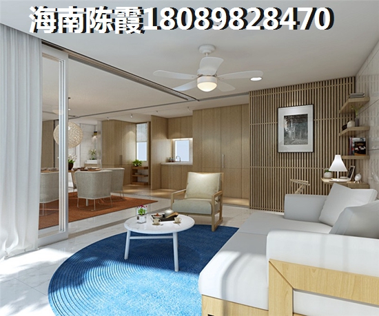 海南儋州现在的房子买了可以生纸吗？