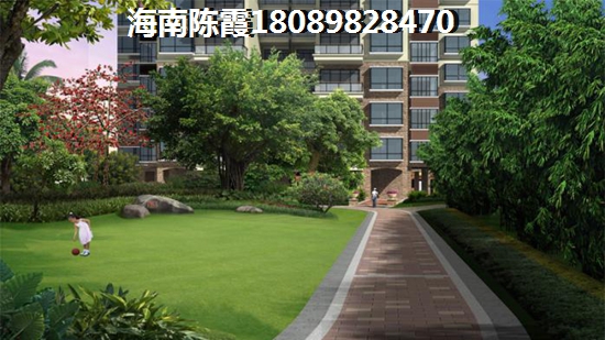 儋州市房子还能生纸吗